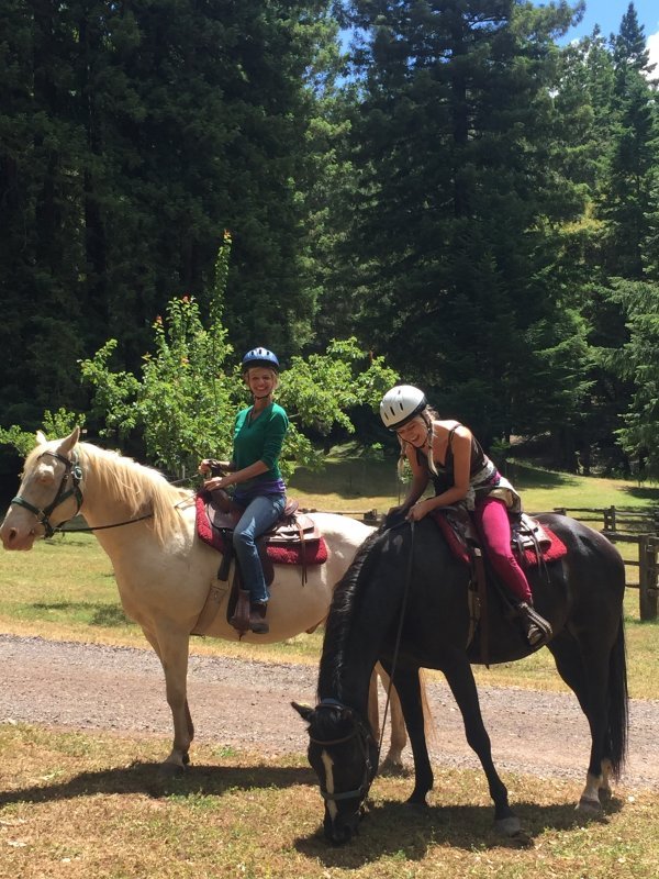 20170609 Unknown Jennypascalehorses